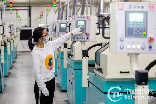 聚力转型强动能 江苏泰州台资企业拓展提质迈出新步伐